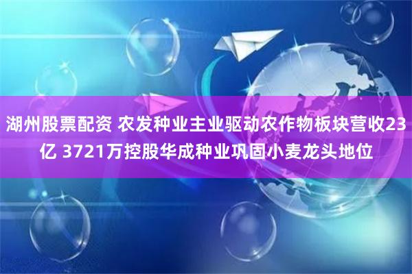 湖州股票配资 农发种业主业驱动农作物板块营收23亿 3721万控股华成种业巩固小麦龙头地位